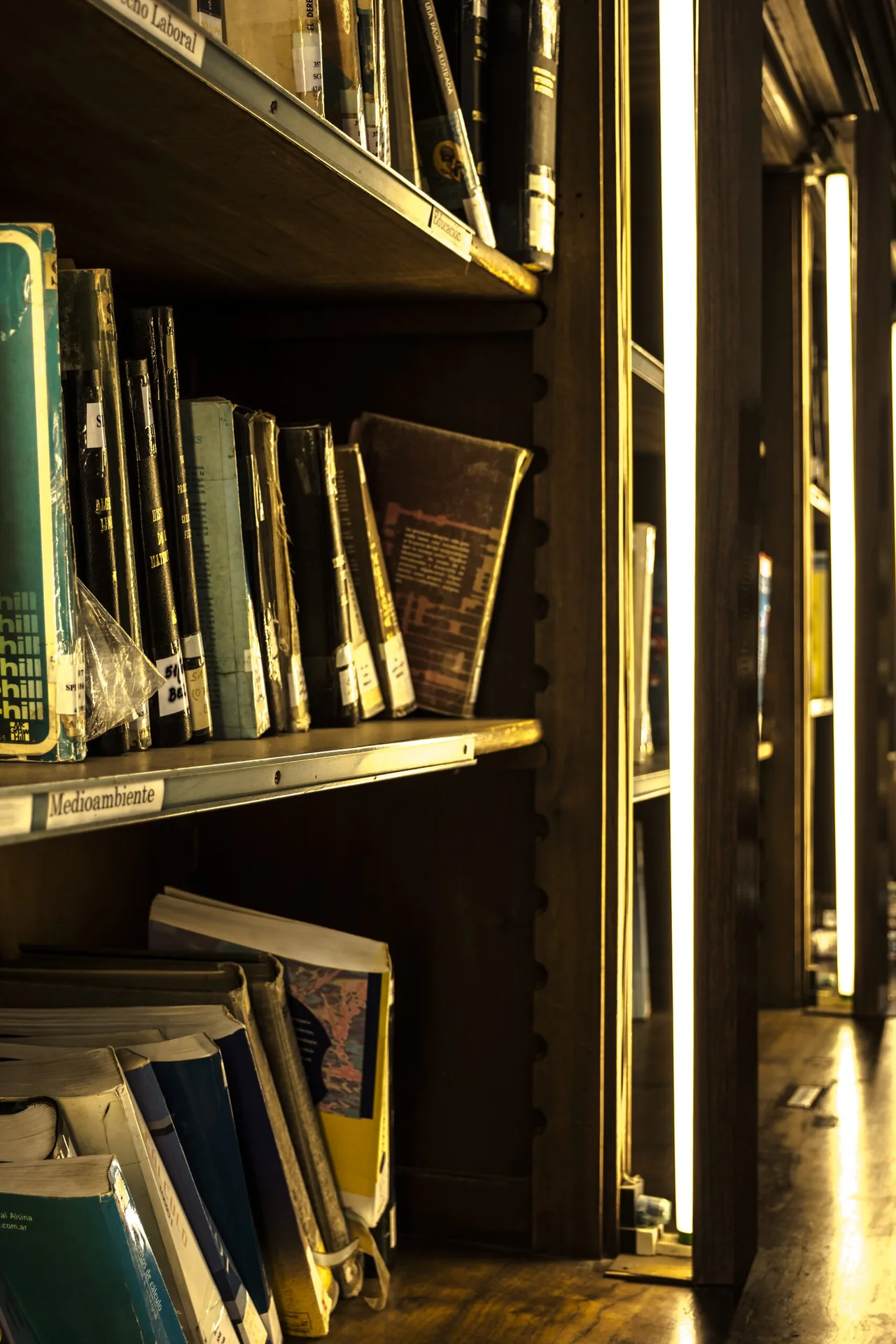 Biblioteca